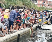 Kefalonia 2018 wer sieht die Schildkröte zuerst