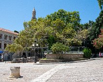 2019 Kos Platane des Hippokrates