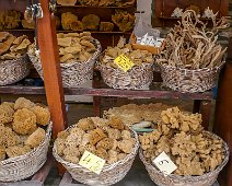 Symi 2010 Naturschwämme Ano Symi