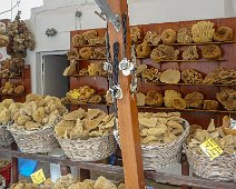 Symi 2010 Naturschwämme Ano Symi