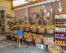 Symi 2010 Naturschwämme Ano Symi