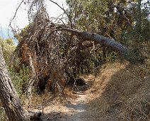 Zakynthos 2013 Weg zum Bochali