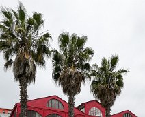 Porto 2019 N'o Mercado